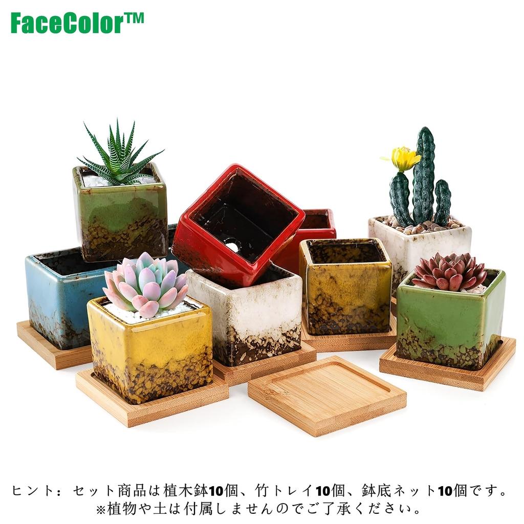 Facecolor Sukkulent Størrelse Stilig Keramisk Glasert Sett med Egnet for Innendørs og Utendørs Små Firkantet Drenering og Bunnnett Ikke Potter, 2,