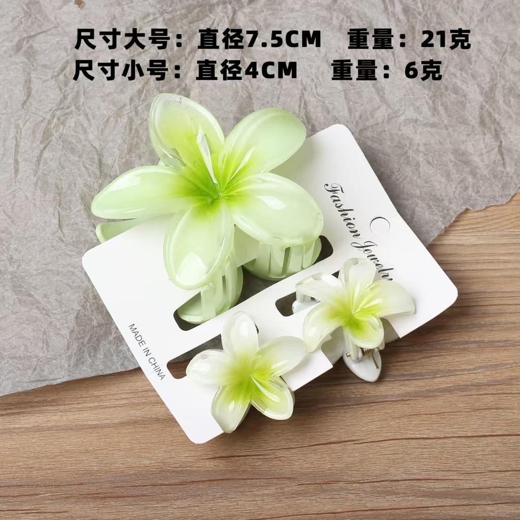 2025 New Egg Flower Grab Clip Retro Color Flower Hair Claw Clip Lady Side Grab Half Grab Back Head Shark