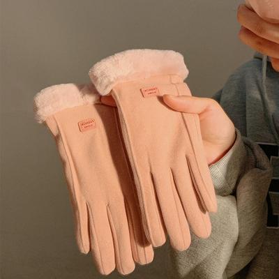 Suede Gloves Winter Women's Fleece Thickened