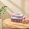 Large Capacity Tissue Storage Box Plastic Tissue Holder Modern Napkin Holder  Bathroom
