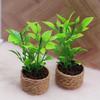 1Pcs Home Garden Furniture Decor Toy 1:12 Dollhouse Miniature Orange Tree Potted Green Potted Plants Model