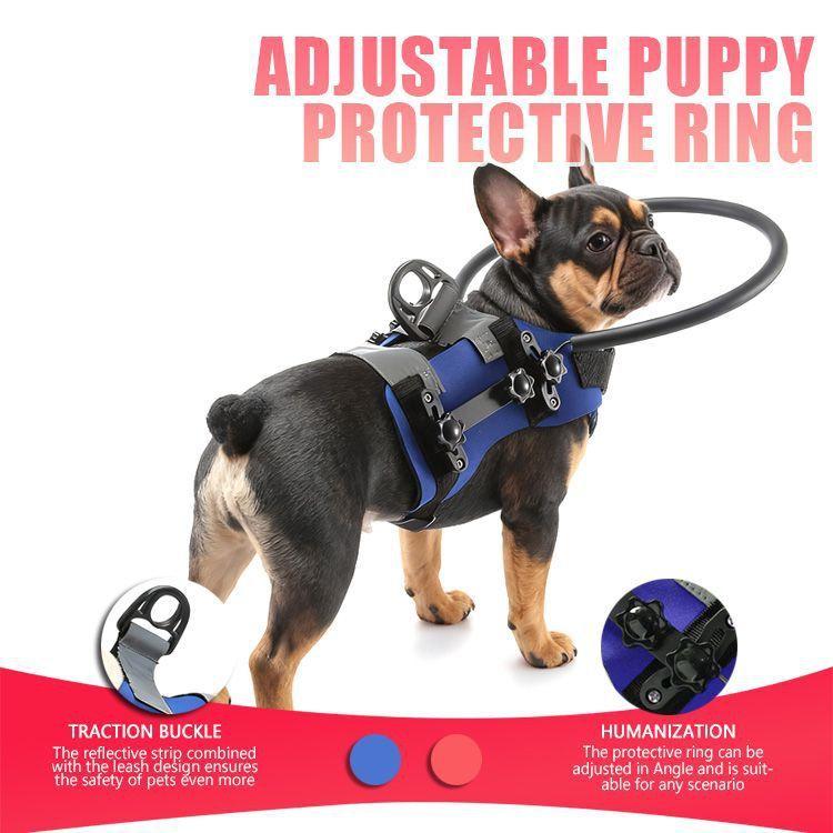 Hundesicherheits-Präventionsring für blinde oder ältere Hunde aus verstärktem Polyester für alle Jahreszeiten