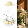 Entryway Geese Display Outfit Set With Matched Hat and Patterned Collar for Country Porch Styling and Shelf Accent