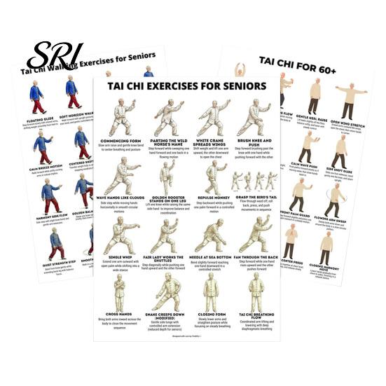 Gentle Chair Workout Routine 3Pcs Tai Chi Posters Seated Canvas Fitness Poster Illustrations Exercise Instructions for Beginners Seniors Senior