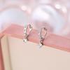 925 Sterling Silver Hoop Earrings: 2025 Modern Niche Design - Elegant & Luxurious for Women