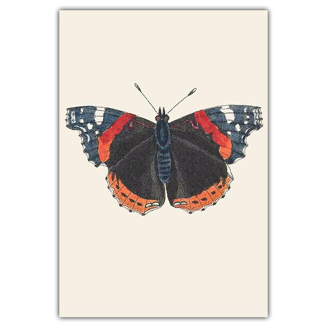 Artă retro, fluture colorat, pictură pe pânză, carte de artă de perete, poster pentru știința și educația animalelor, coridor, decorare a casei, murală fără cadru