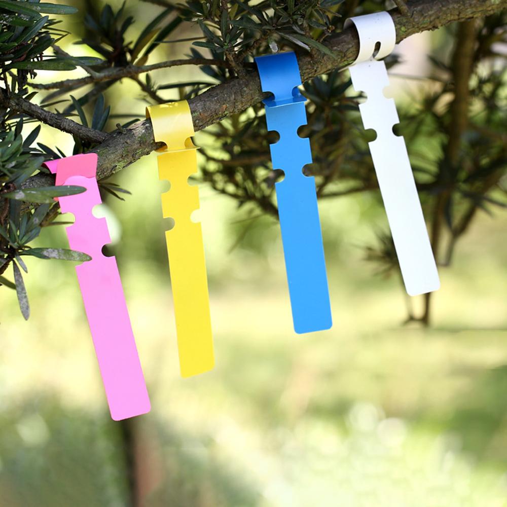 100PCS Pvc Waterproof Ring For Flower Plant Labels, Seedlings, Orchids, Garden Floral Markers, Plastic Signboards