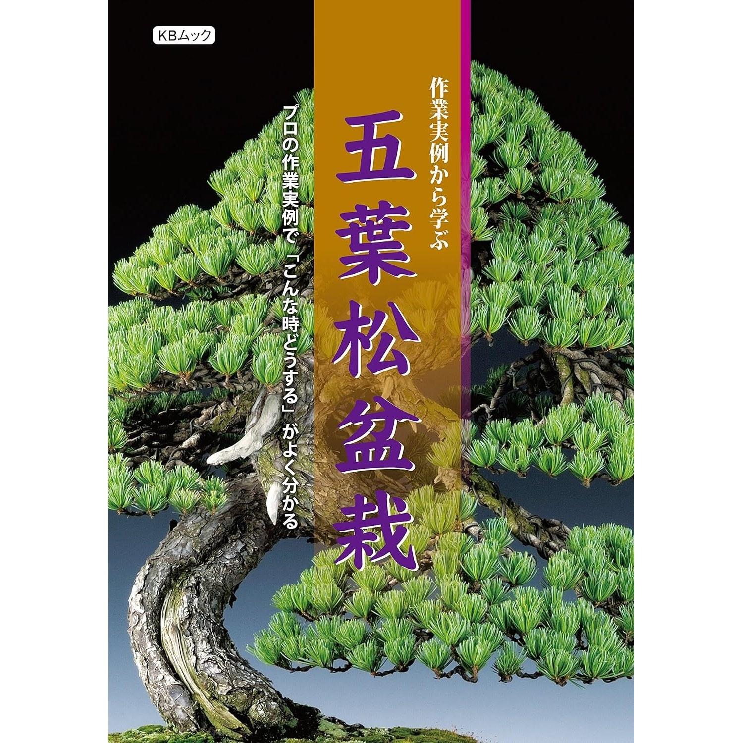 Learning from Practical Examples Five-Needle Pine Bonsai - Understanding What Do Such Cases through Professional Work (KB Mook)