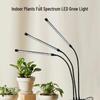 3-Head Dimmable LED Grow Light with Timer for Succulents & Herbs