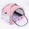 Clear Window Small Animal Travel Carrier Safety Breathable Mesh Cat Dog Carrier Ventilation Comfortable Pet Carrier Bag