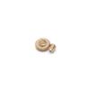 0.3M 30T 4mm Copper Step Worm Gear Wheel 0.3M Worm 0.98mm DIY Model Reducer Accessories