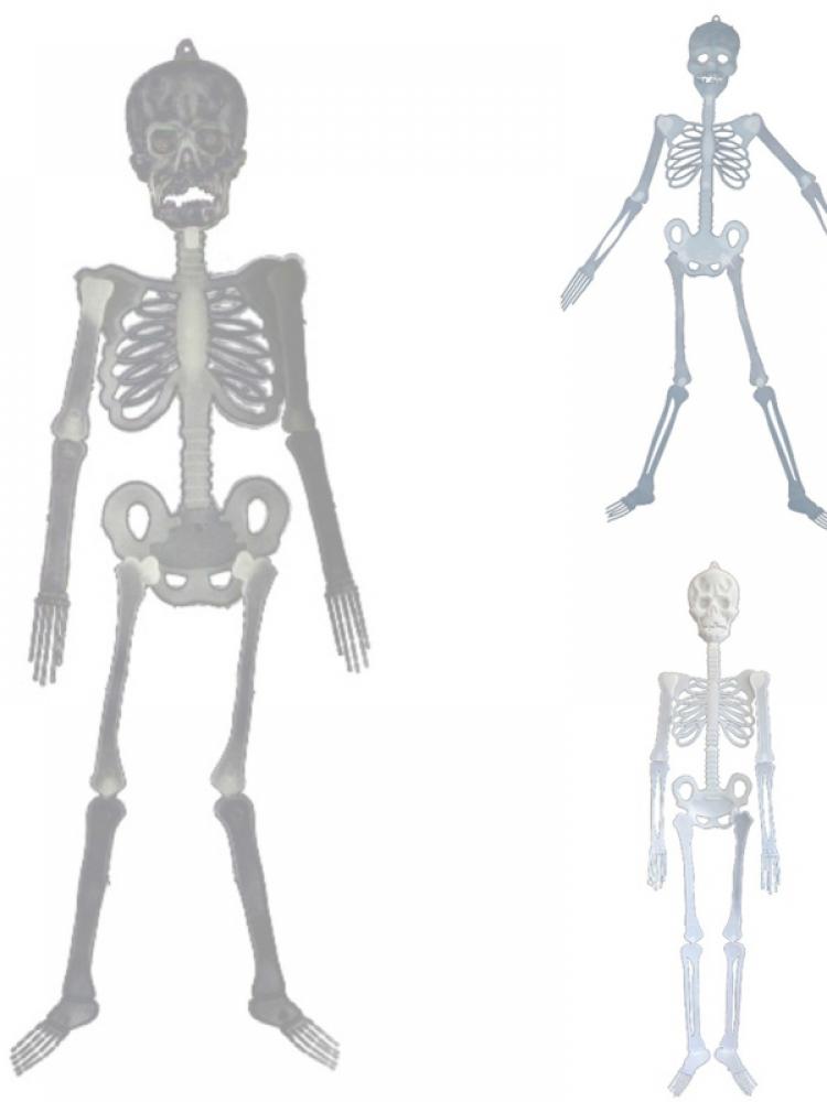 

Подвижный череп-скелет Светящийся скелет Страшное украшение