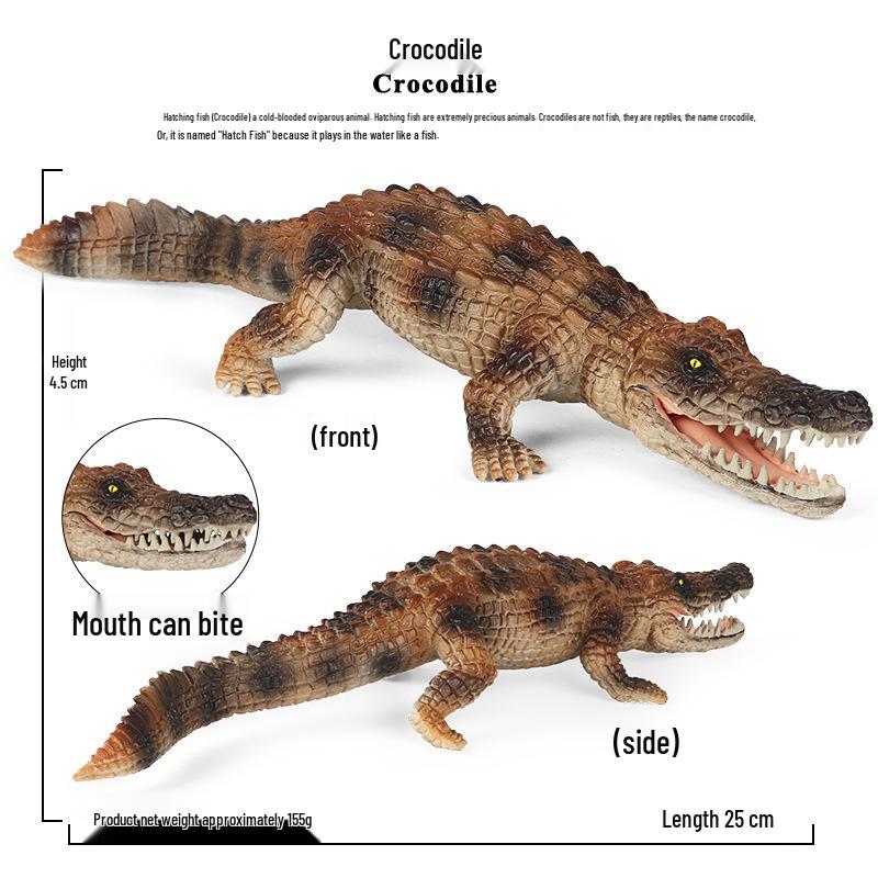 Large Static Crocodile Model - Educational Toy for Early Learning