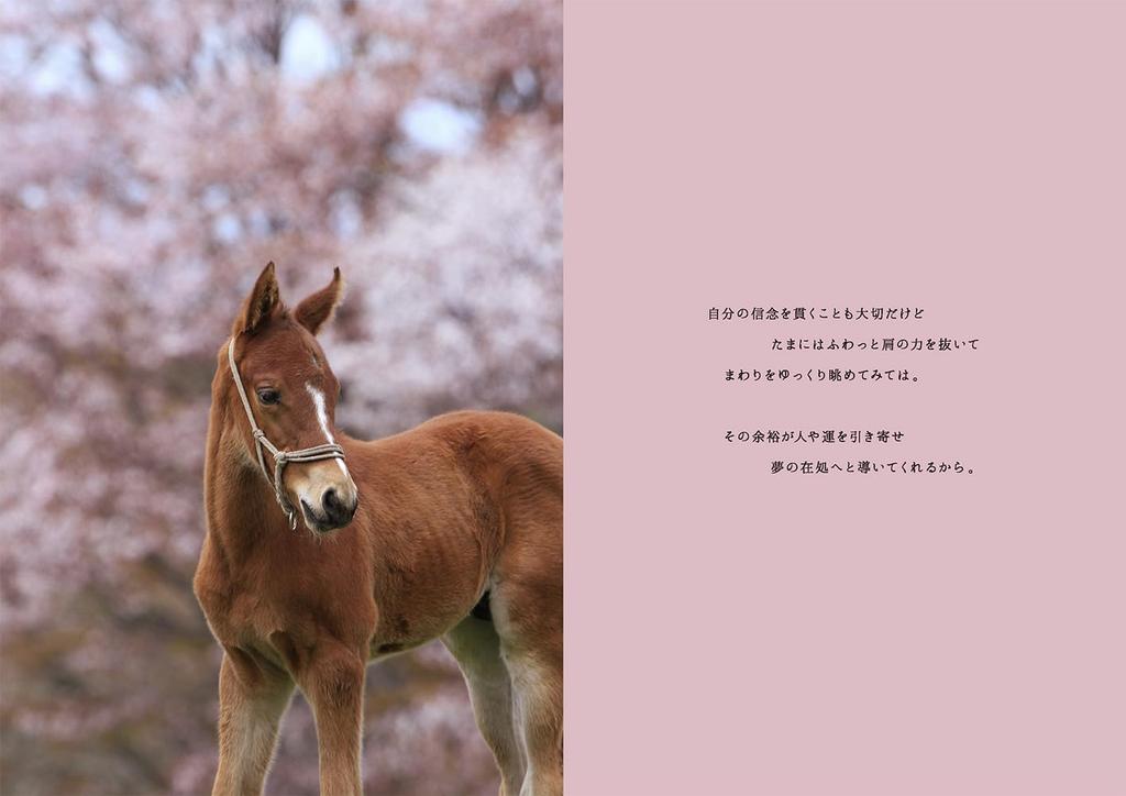 Umaletter Photo & Poem 100 Heartwarming Messages from Horse Breeding Areas