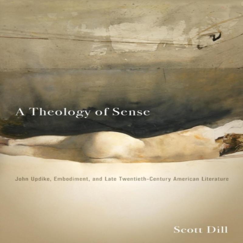 A Theology of Sense by Scott Dill Paperback Book 9780814255001