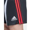 Спортивные шорты adidas adicolor Teamgeist