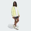 Adidas Terrex Windbreaker Jackets Men's Light Neon Yellow Hooded Non D