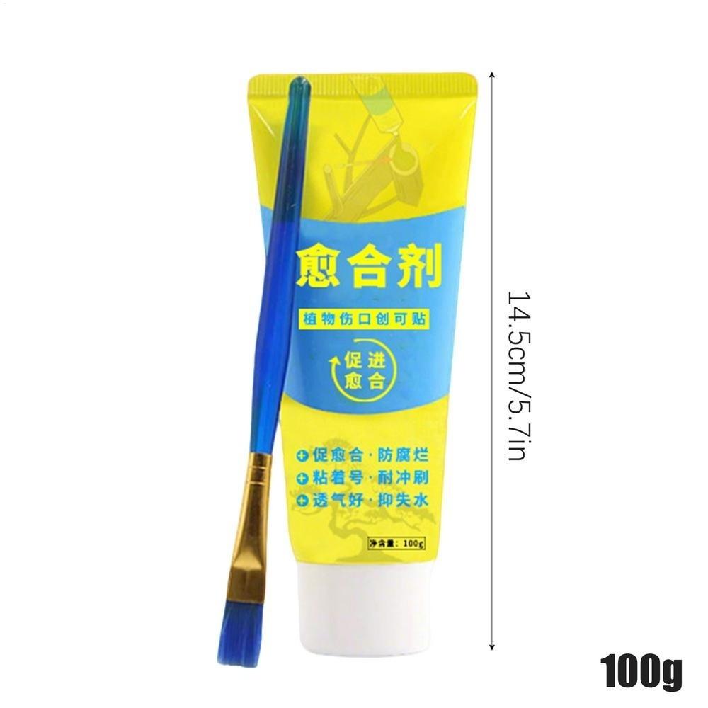 Smear Agent Tree Wound Sealant with Brush Plant Restoring Sealant New Pruning Compound  Tree Care