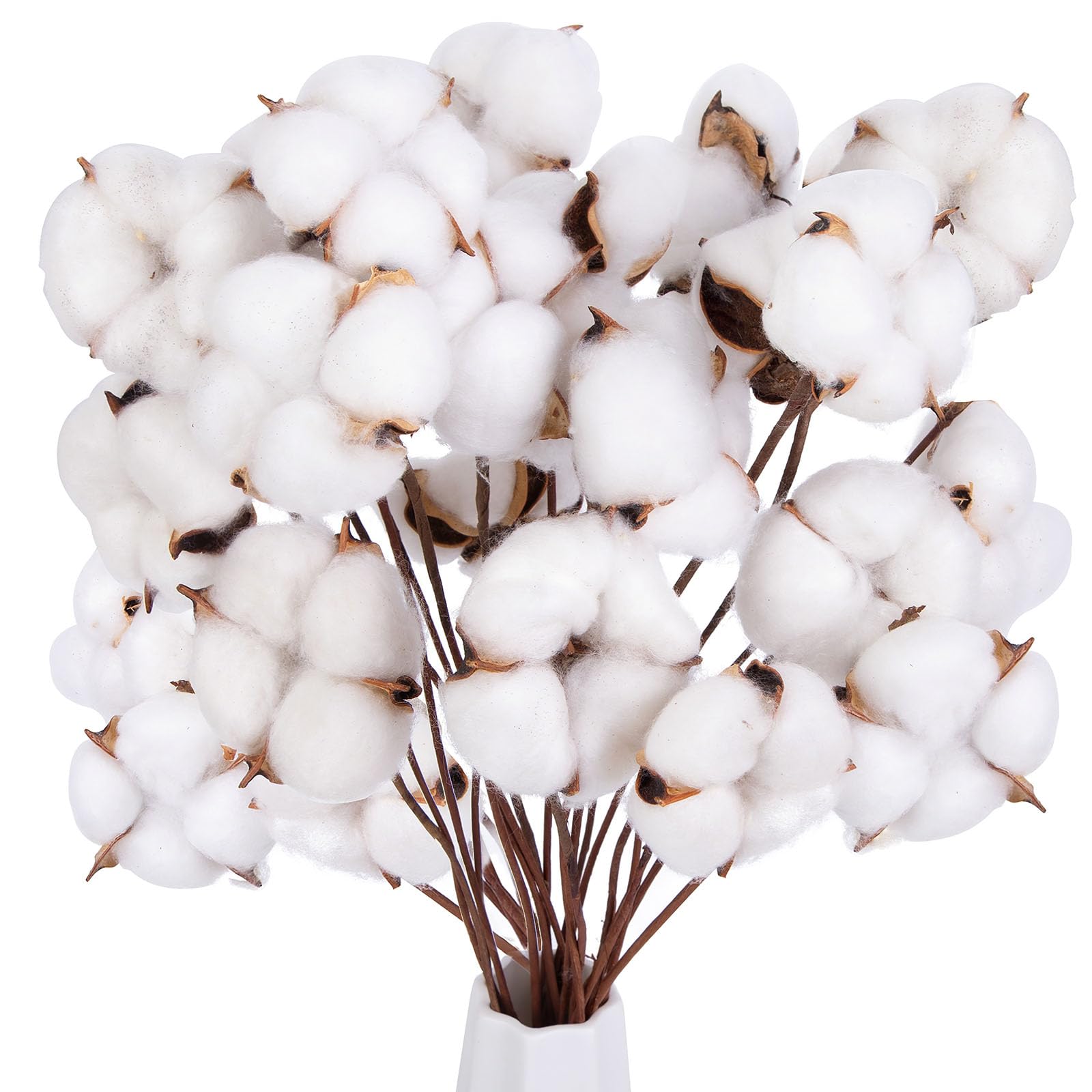 

Cotton Stems , Natural Dried Flowers Cotton Sprigs for Vase Fillers and Floral Arrangements - Fall Decorations and DIY Crafts 30