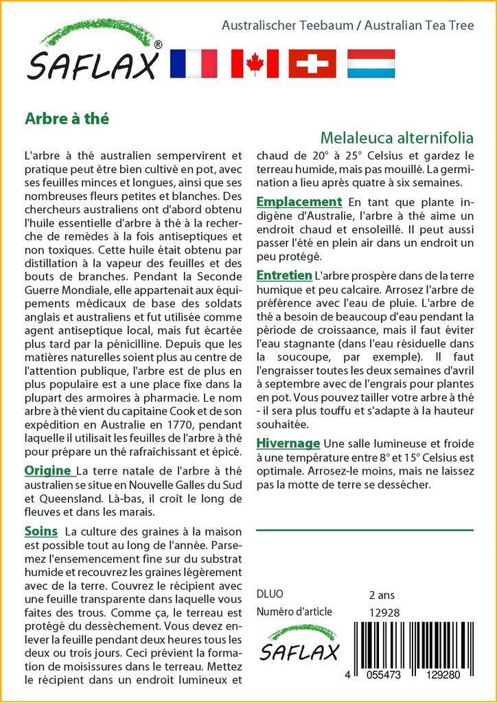 SAFLAX Australian Tea Tree - 400 Seeds - Melaleuca Alternifolia