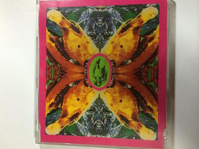 CD ACID HORSE - No Name, No Slogan CDDVN103 Devotion 1992 UK Dance & Electronica Used