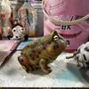 New Product Creative Simulation Frog Resin Craft Courtyard Decoration Animal Model Ornament Desk Decoration Home Accessories