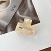 Versatile Small Rectangular Acetate Hair Clip - Korean Style, Autumn/Winter, High-End Half-Up Shark Clip