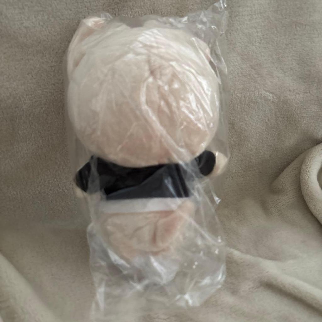 Stray Kids Plush Toy Wolf Chan Rebit Doll K-pop Merchandise.