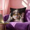 Singer DDPR Ian Moodswings Poster Square DoubleSided Printed Pillow Case Bedroom Bedside Pillow Sofa Cushion Cover