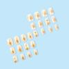 24 Press Type Nails , Short Square Fake Nails , Cute Design , Glossy Fake Nails , Daily Cute , Full Set Of Nails , Adhesive 2ml