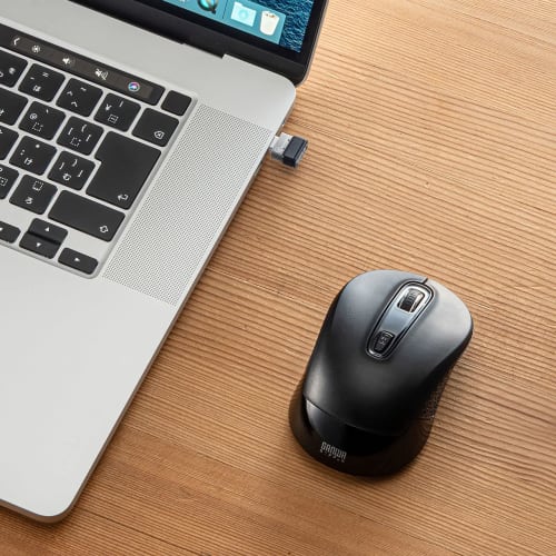 Sanwa Supply Wireless Type-C Blue LED Mouse (Black) MA-WBLC41BK