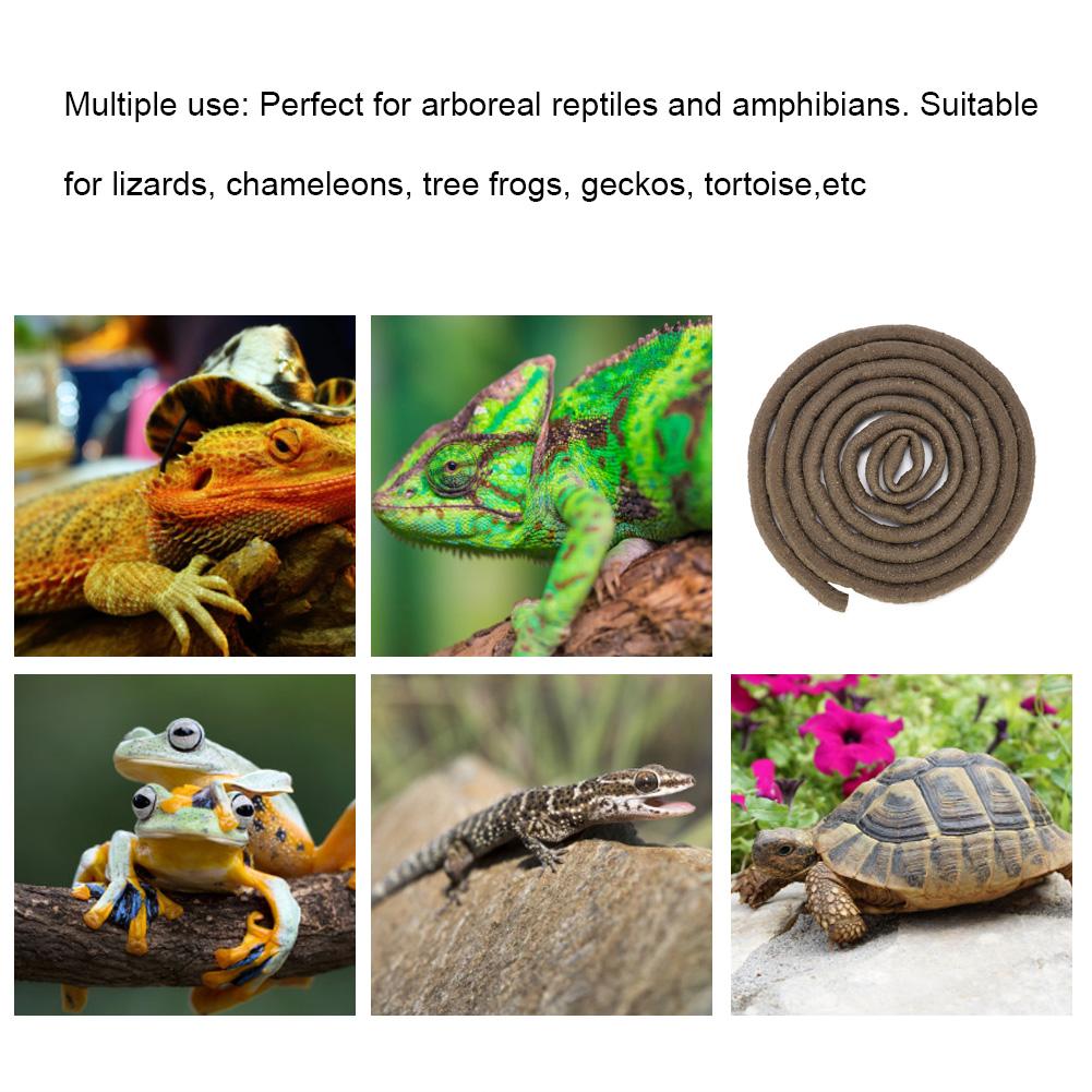 Yapay Sürüngen Tırmanma Dalı Esnek Orman 9.84ft Rattan Uzun Asma Habitat Dekoru(L)