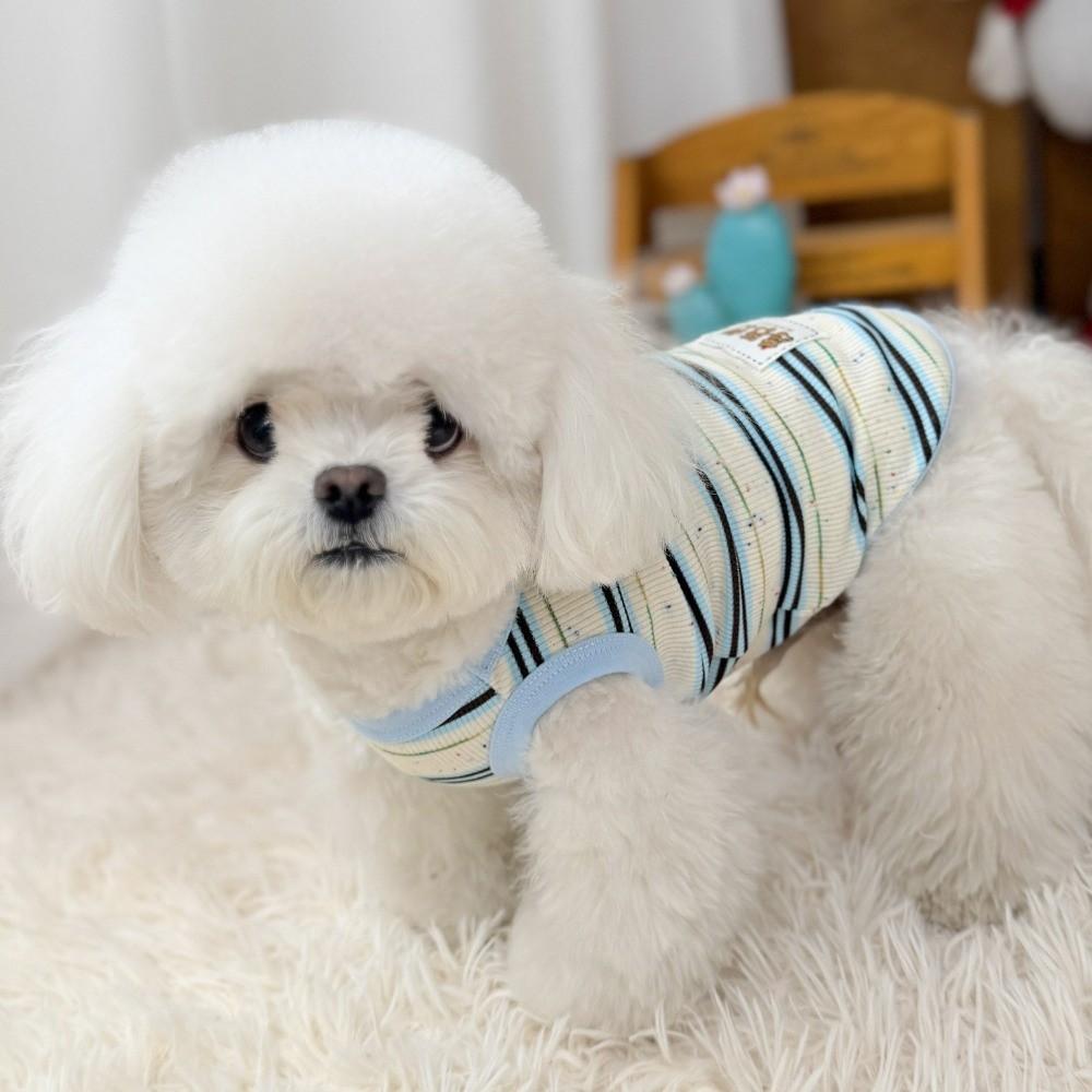 Round Neck Dog Cooling Vest Breathable Summer Dog Clothes Cute Pet Outfits  Small Dogs