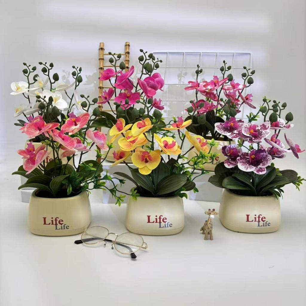 Butterfly Orchid Artificial Plant For Photography Decor And Home Styling