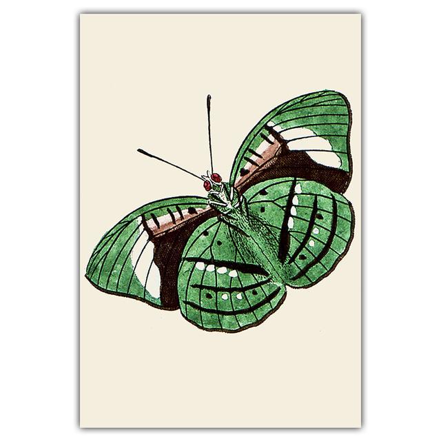 Artă retro, fluture colorat, pictură pe pânză, carte de artă de perete, poster pentru știința și educația animalelor, coridor, decorare a casei, murală fără cadru