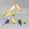 Simulation Papagei Miniatur Landschaft Ornament Sittich Modell Rasen Figur Künstliche Vogel Hause Dekorative Figuren Vogel Dekor