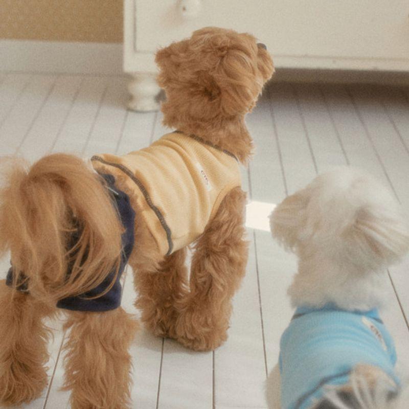 CROOKTHECHIHUAHUA Tägliche Waffel-Halbhosen (3 Farben)