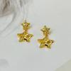 Manufacturer Supply Niche Design Fashion Personality Shining Zircon Star Earrings Light Luxury Earrings Spot