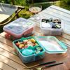 Portable Double Layer Bento Box With Dividers For Office Lunches And Picnics