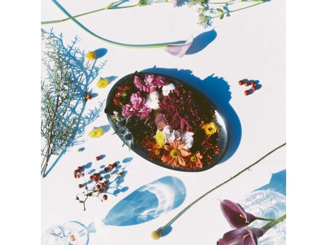 

[CD] Hors d oeuvre Nomal Edition shytaupe STR-48112 Songs distributed included