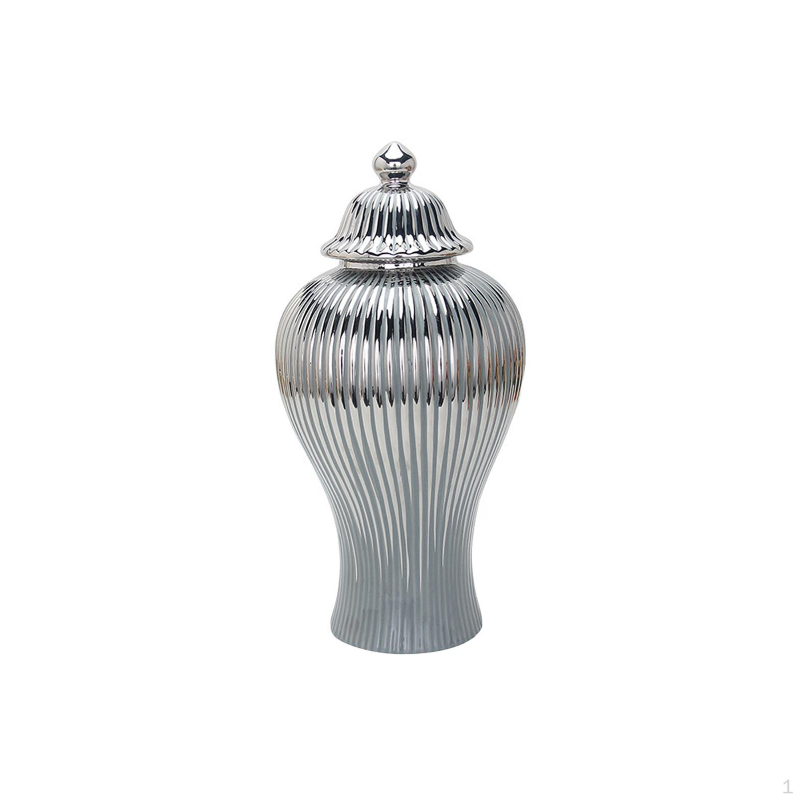 

Chinese Porcelain Ginger Jar Organizer Storage Holder Ceramic Vase for Collection S