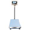 DH Industrial Counting & Weighing Platform Scale, 150kg/50g