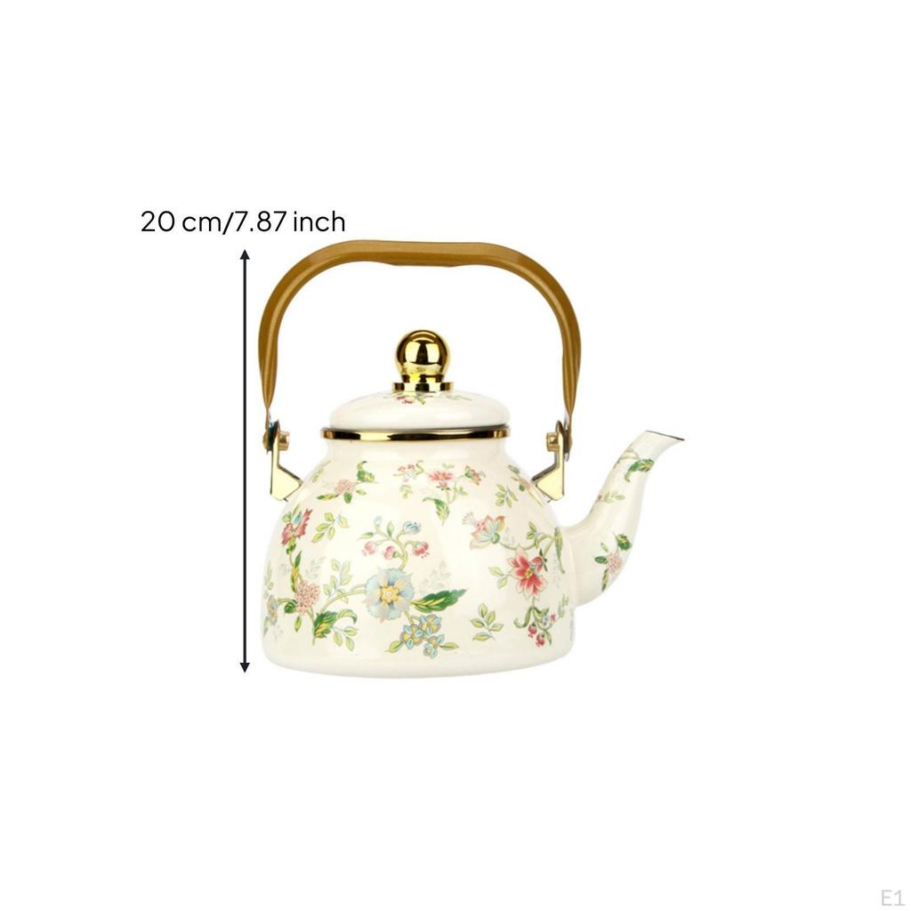 Enamel Tea Kettle Non-Reactive Spill-Spill-Resistant