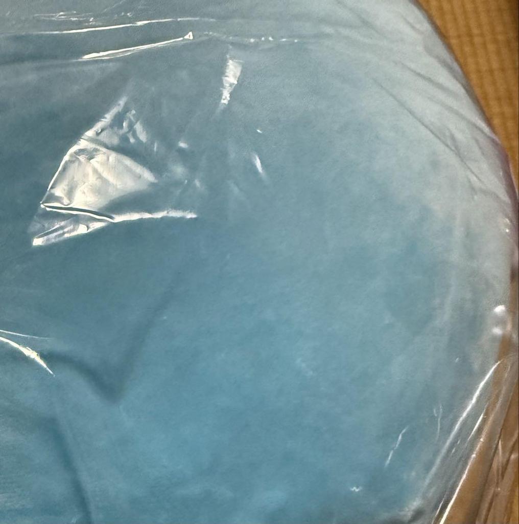 [USED] BT21 MANG Cushion