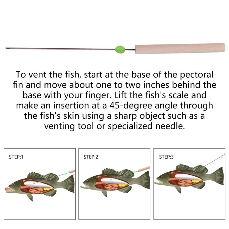Fisch-Entlüftungs-Hohlnadelwerkzeug für Tiefseefische zur Bewahrung von Geschmack und Textur