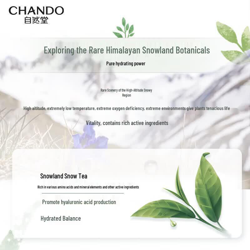 CHANDO Snow Tea Balancing Hydrating Mask (5-Pack)