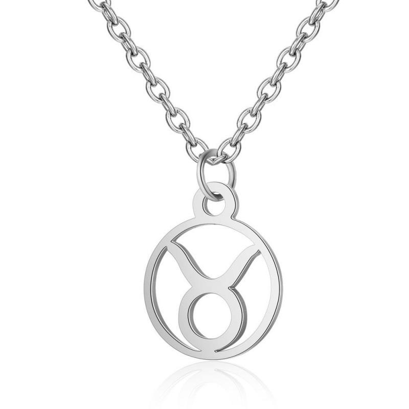 Stainless Steel Zodiac Pendant Necklace with Thin Chain