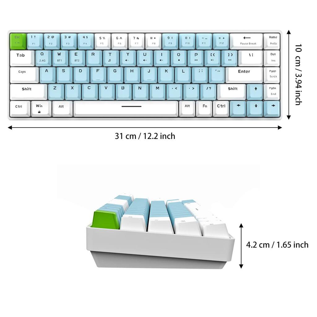 Merdia Mechanical Keyboard, 68 Keys, Wireless 2.4G Connection, 3-Device Connection, for Smartphones and Tablets, US Layout, Blue Switches - White and