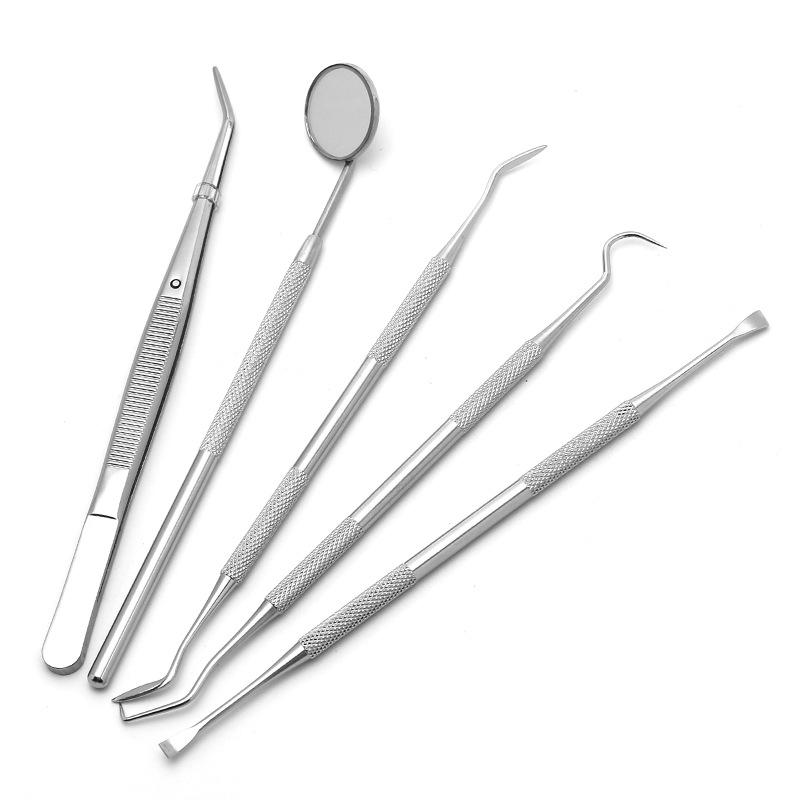 Dental Examination & Tartar Removal Stainless Steel Tool Set - 5 Pieces