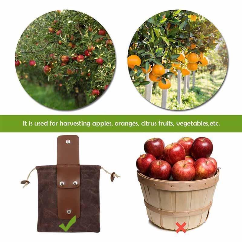 Collapsible Canvas Foraging Bag for Camping Hiking Beachcombing Outdoor Gear Mushroom Berry Picker Drawstring